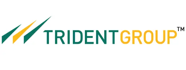 trident group